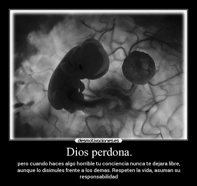 carteles dios dios perdoname desmotivaciones