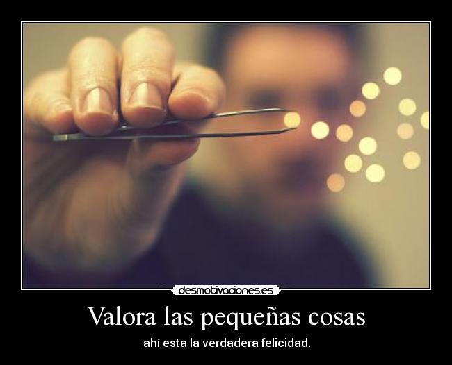 Valora las pequeñas cosas - ahí esta la verdadera felicidad.