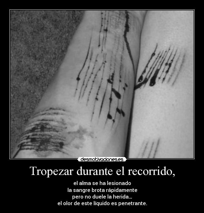 Tropezar durante el recorrido, - el alma se ha lesionado
la sangre brota rápidamente
pero no duele la herida…
el olor de este líquido es penetrante.