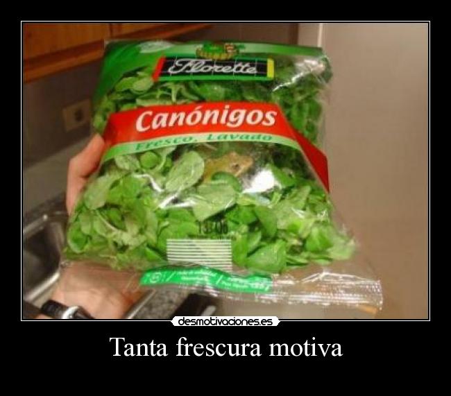 Tanta frescura motiva -