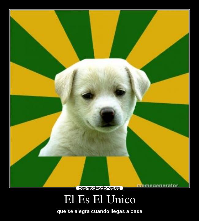 El Es El Unico - 