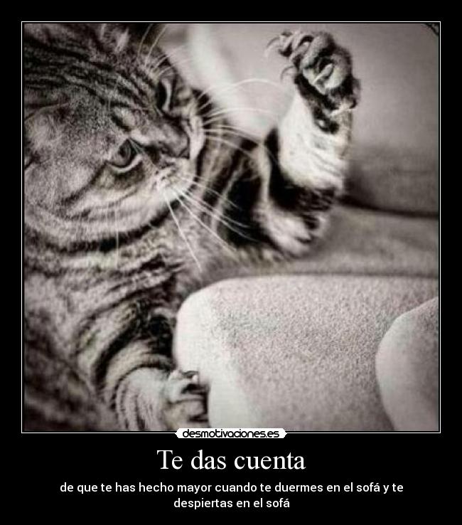 Te das cuenta - de que te has hecho mayor cuando te duermes en el sofá y te despiertas en el sofá