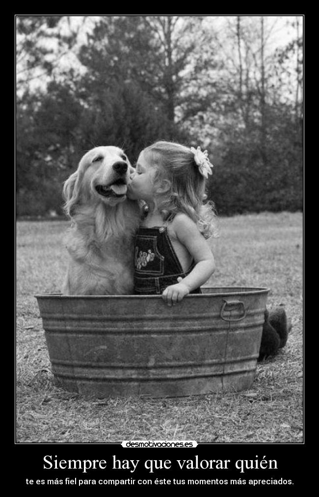 Siempre hay que valorar quién - te es más fiel para compartir con éste tus momentos más apreciados.