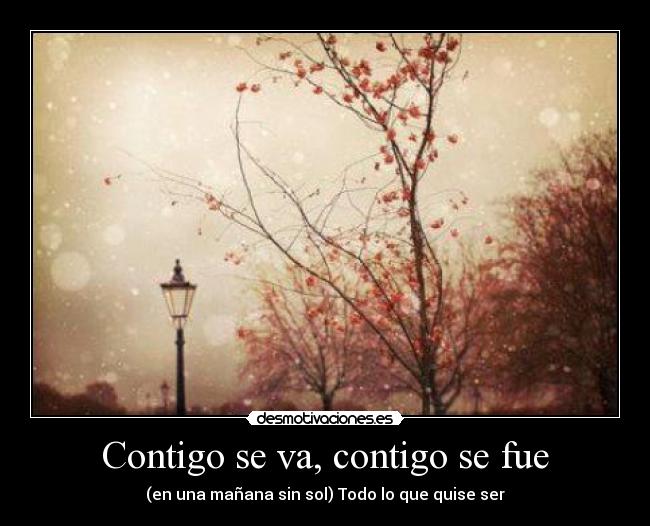 Contigo se va, contigo se fue - 