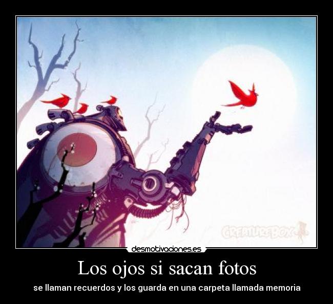 Los ojos si sacan fotos -