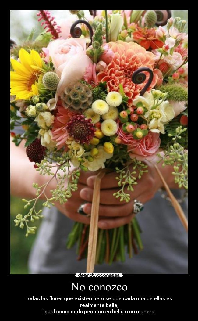 carteles todos somos lindos solo tenemos que sber cual nuestra belleza desmotivaciones