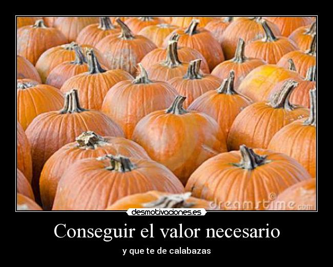 carteles realidad desmotivaciones