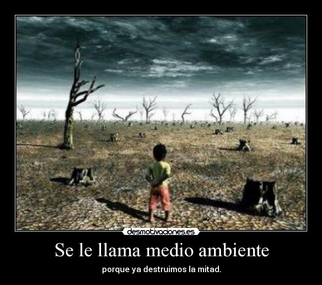 Se le llama medio ambiente -