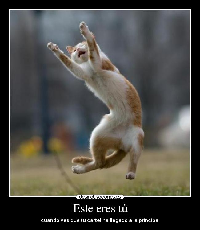 Este eres tú - cuando ves que tu cartel ha llegado a la principal