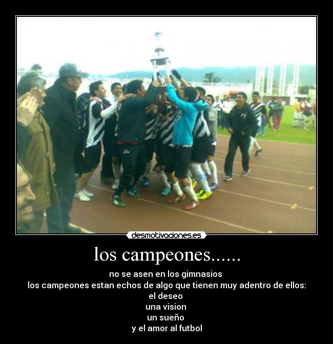 carteles campeones desmotivaciones