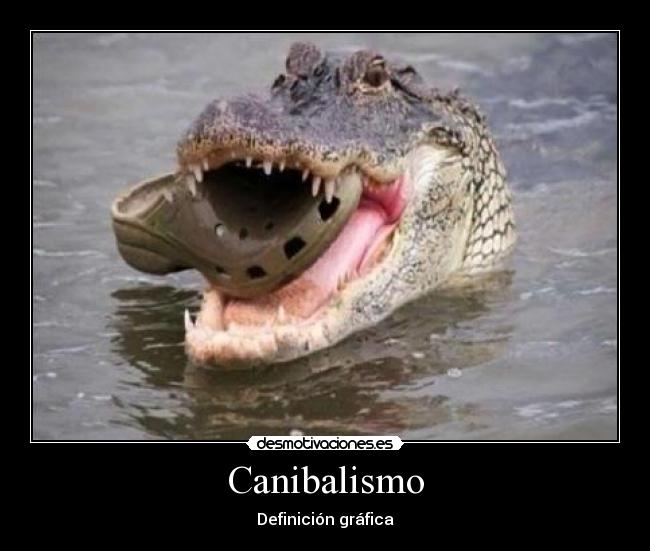 Canibalismo -