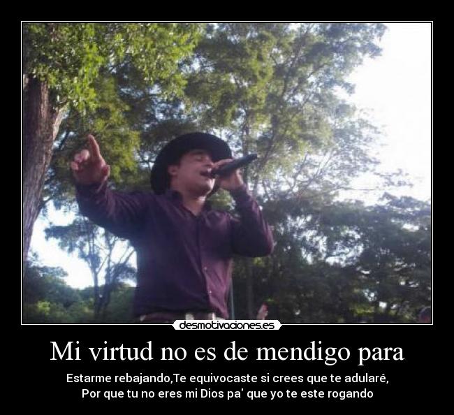 carteles dayliz desmotivaciones