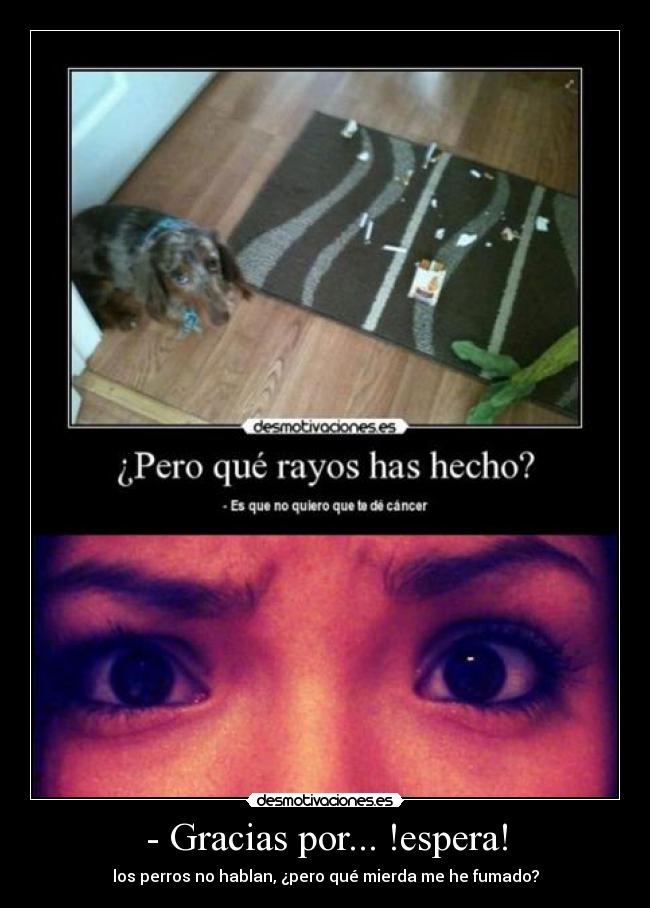 - Gracias por... !espera! -