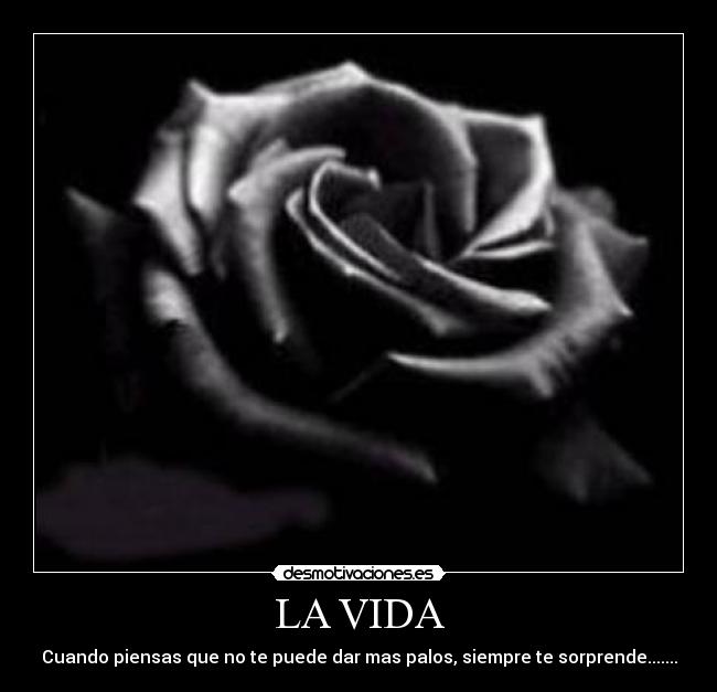 LA VIDA - Cuando piensas que no te puede dar mas palos, siempre te sorprende.......