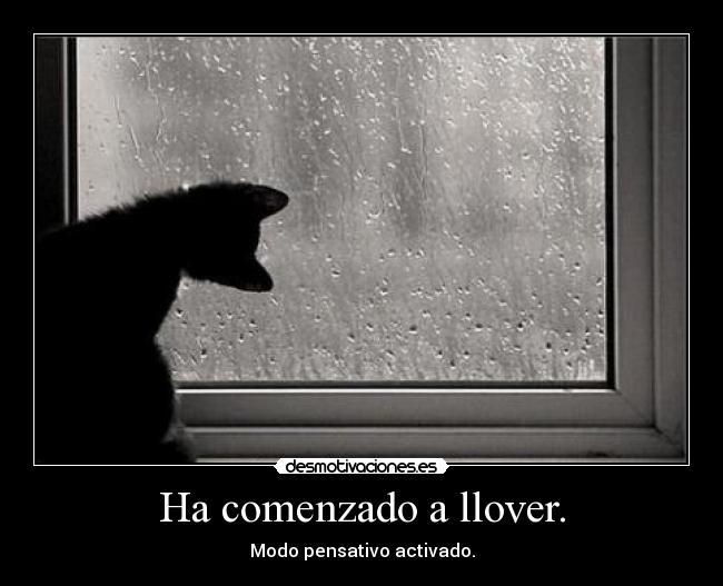 Ha comenzado a llover. -
