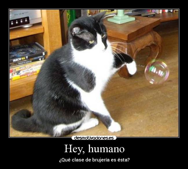 Hey, humano - 