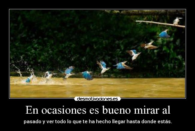 En ocasiones es bueno mirar al - pasado y ver todo lo que te ha hecho llegar hasta donde estás.