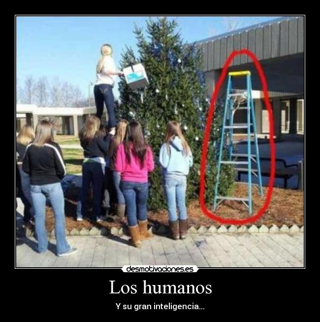 Los humanos - 