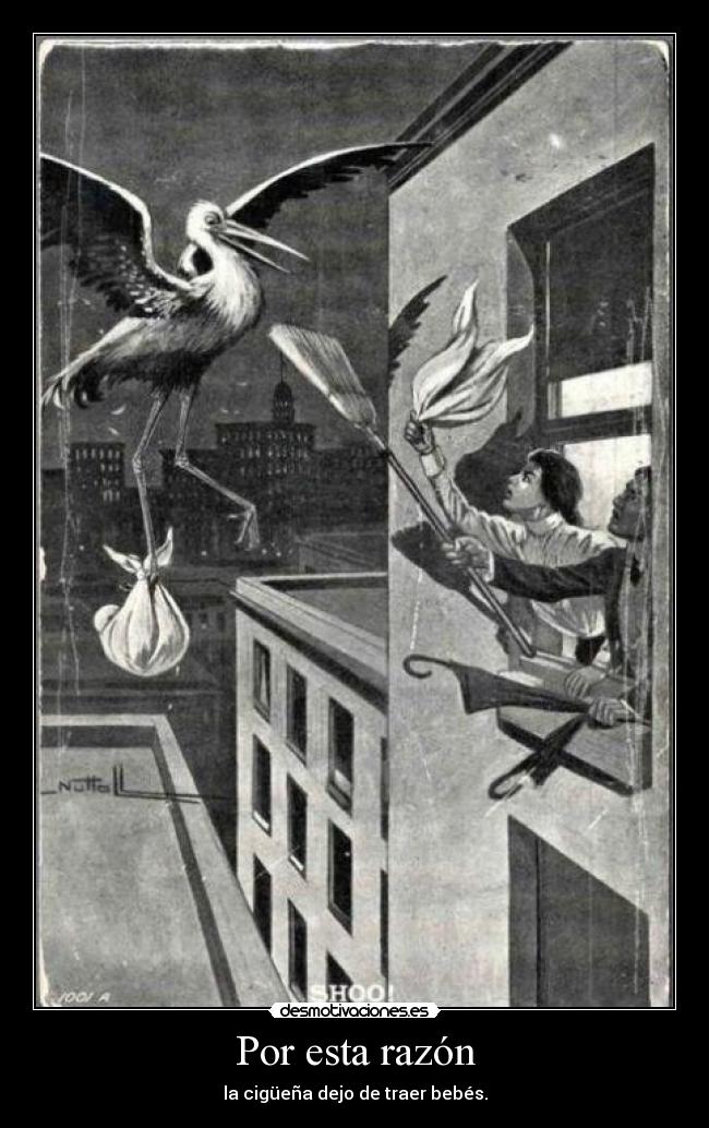 Por esta razón - la cigüeña dejo de traer bebés.