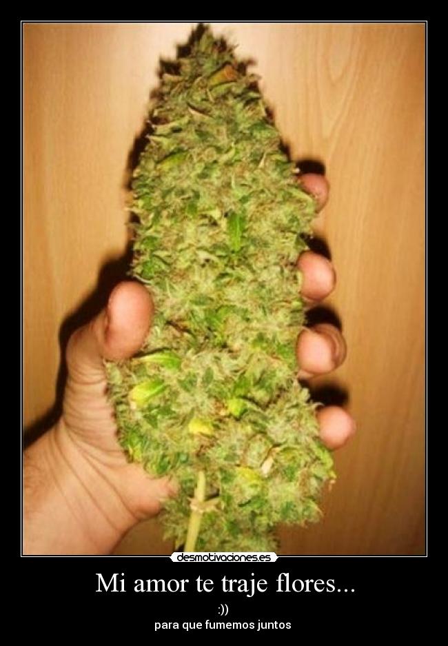 FLORES DE MARIHUANA flores de marihuana: