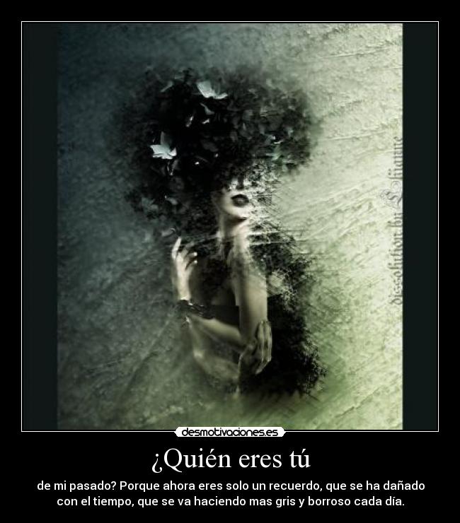 ¿Quién eres tú - de mi pasado? Porque ahora eres solo un recuerdo, que se ha dañado
con el tiempo, que se va haciendo mas gris y borroso cada día.