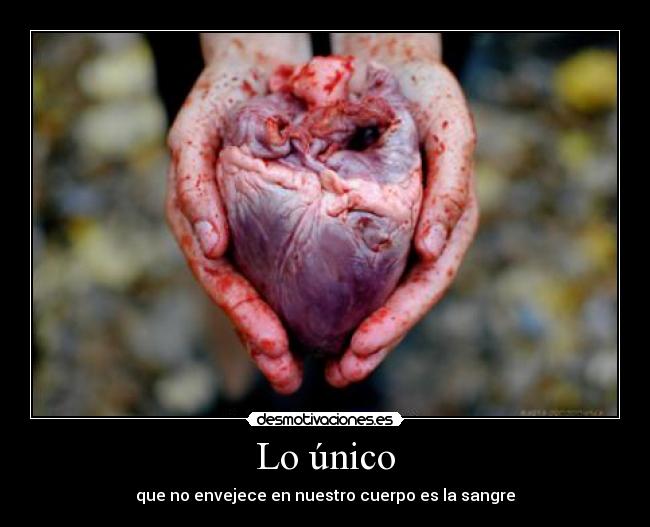 Lo único - que no envejece en nuestro cuerpo es la sangre