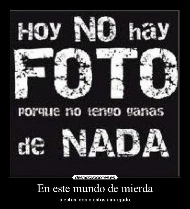 En este mundo de mierda - o estas loco o estas amargado.