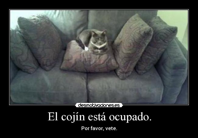 El cojín está ocupado. -