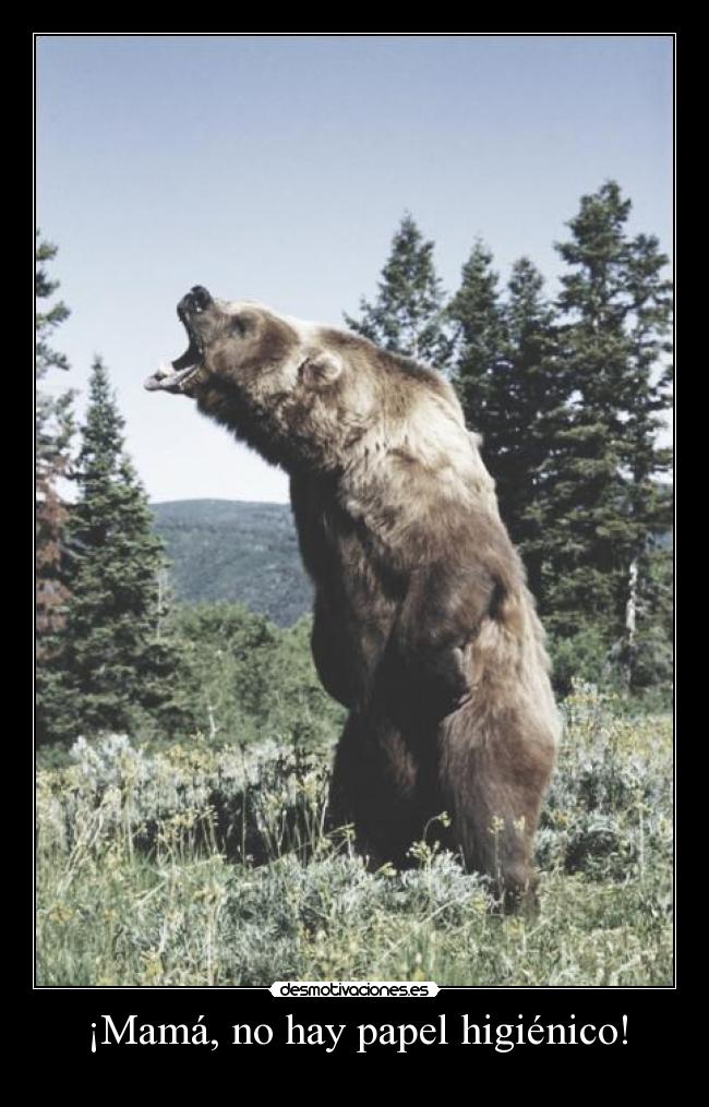 ¡Mamá, no hay papel higiénico! -