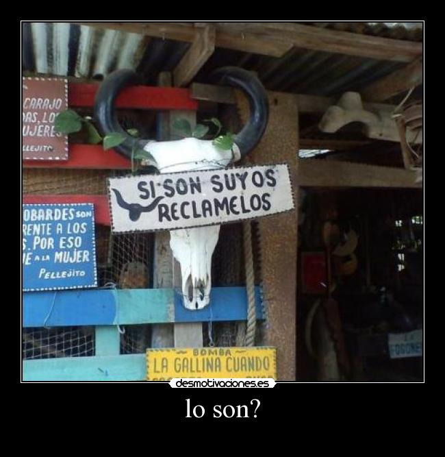 lo son? - 