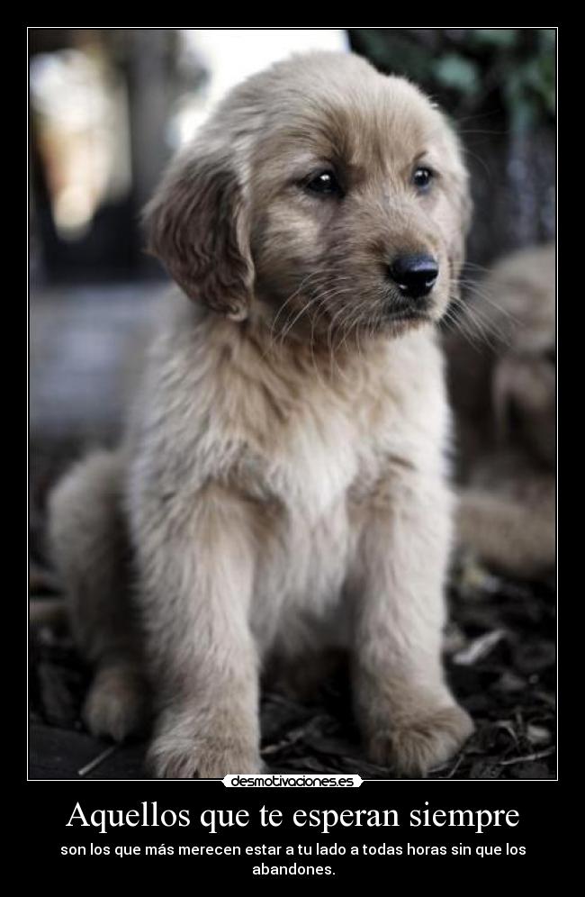 Aquellos que te esperan siempre - 