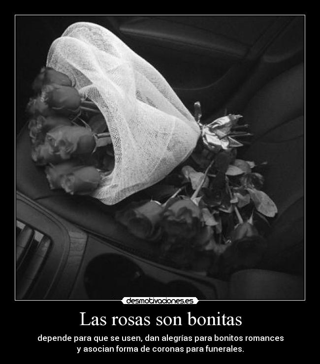 Las rosas son bonitas - depende para que se usen, dan alegrías para bonitos romances
y asocian forma de coronas para funerales.