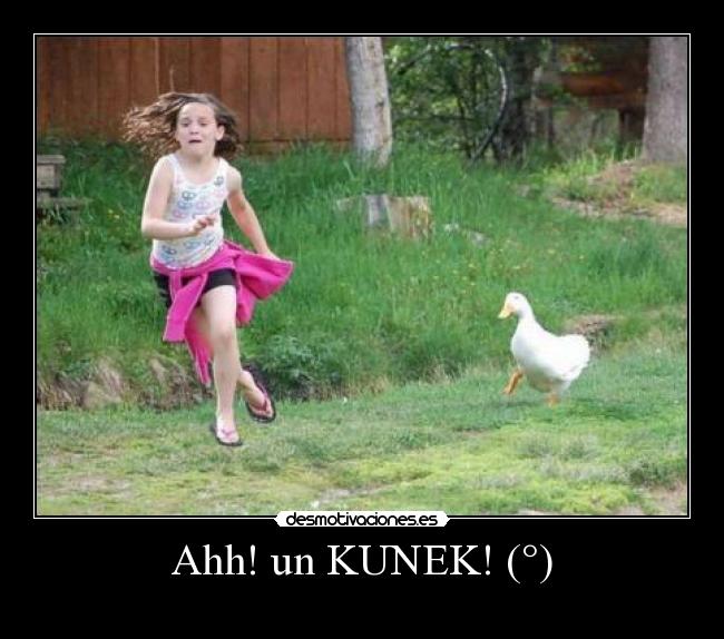 Ahh! un KUNEK! (°) - 