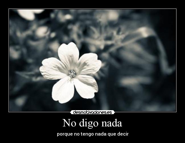 No digo nada - 