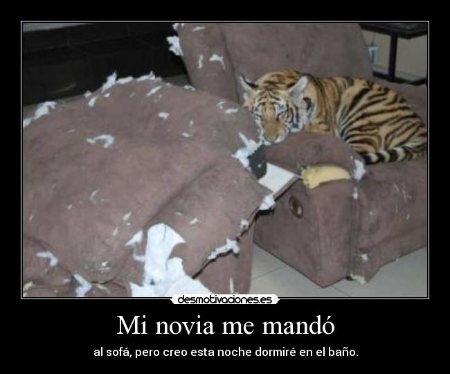 Mi novia me mandó - al sofá, pero creo esta noche dormiré en el baño.