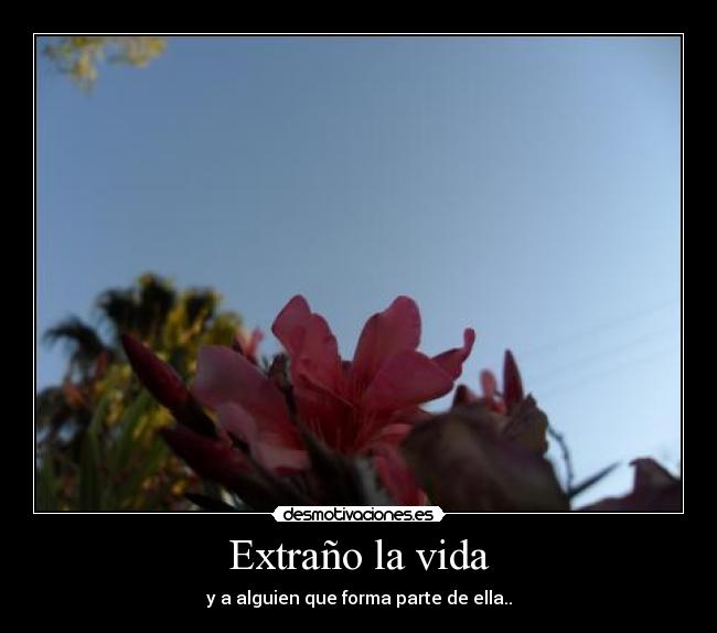 carteles vida extrano vida alguien que forma parte ella revelation idiota desmotivaciones