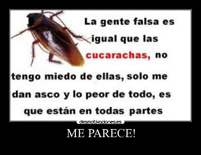 ME PARECE! - 
