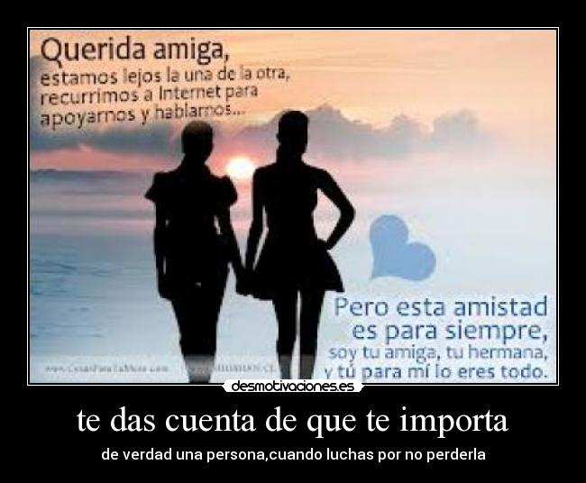 carteles verdadera amistad desmotivaciones