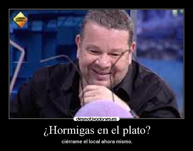 ¿Hormigas en el plato? - ciérrame el local ahora mismo.