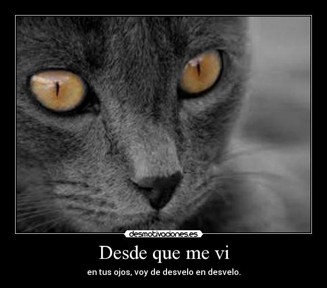 Desde que me vi -