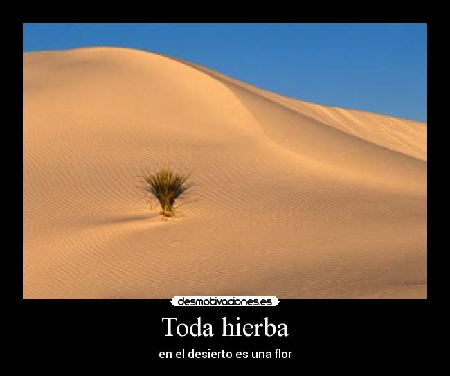 Toda hierba -