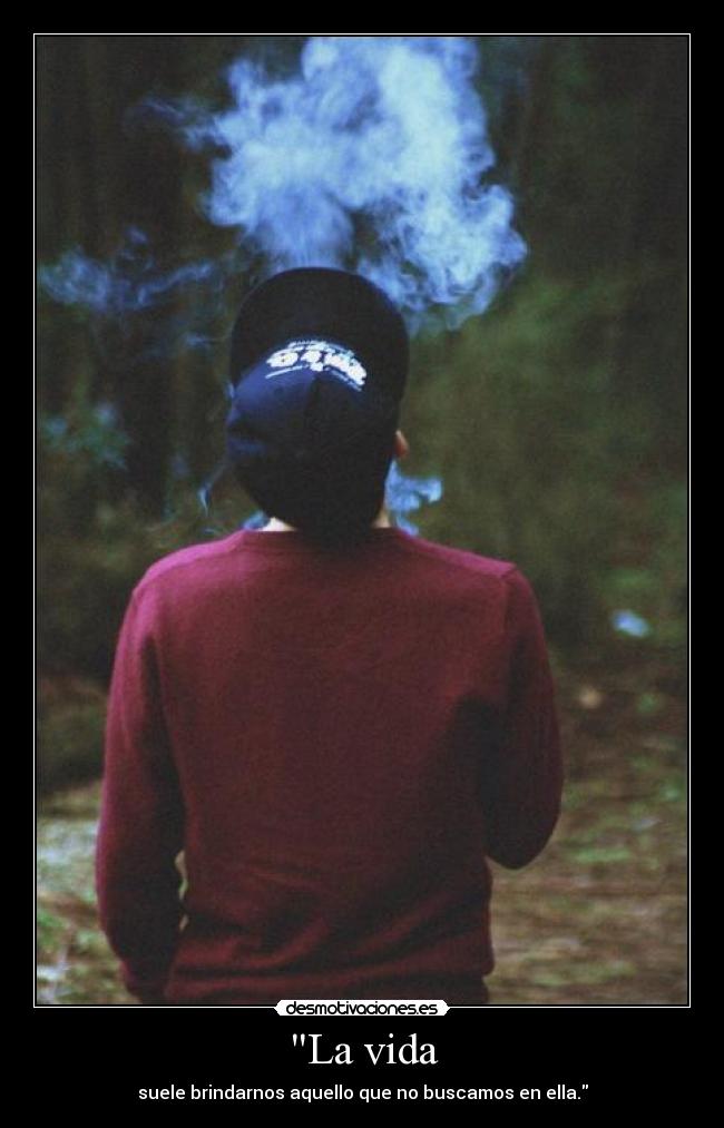 La vida - suele brindarnos aquello que no buscamos en ella.