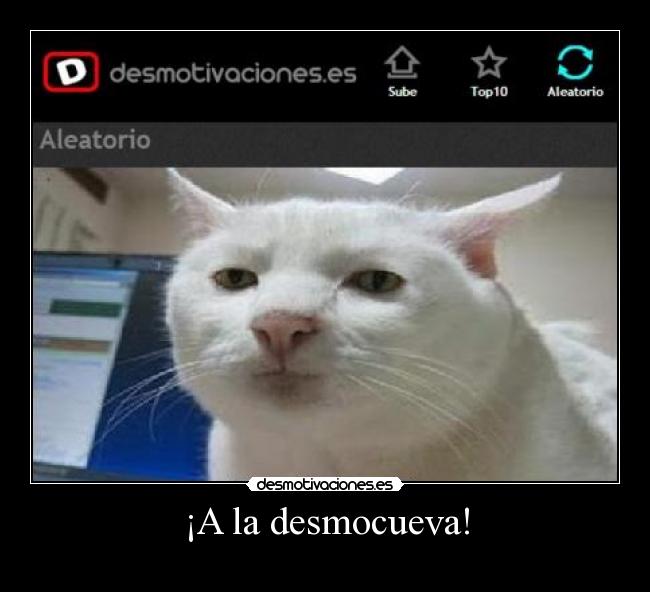 ¡A la desmocueva! - 