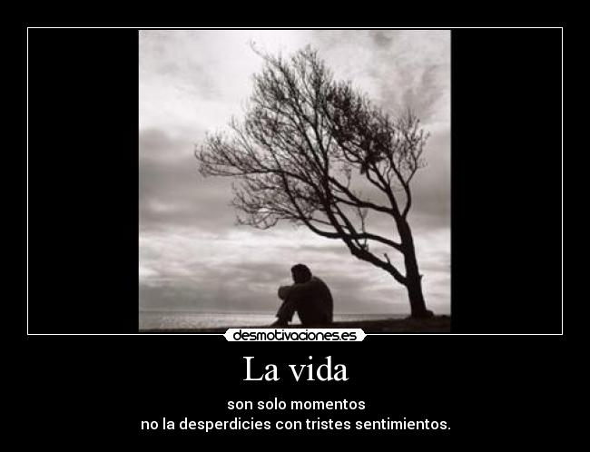 La vida - son solo momentos
no la desperdicies con tristes sentimientos.