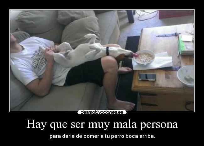 Hay que ser muy mala persona - para darle de comer a tu perro boca arriba.