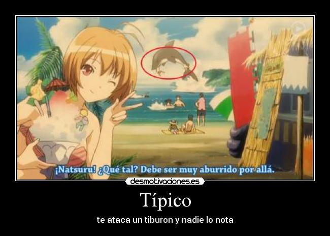 Típico - te ataca un tiburon y nadie lo nota