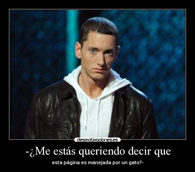 carteles dooby eminem desmotivaciones
