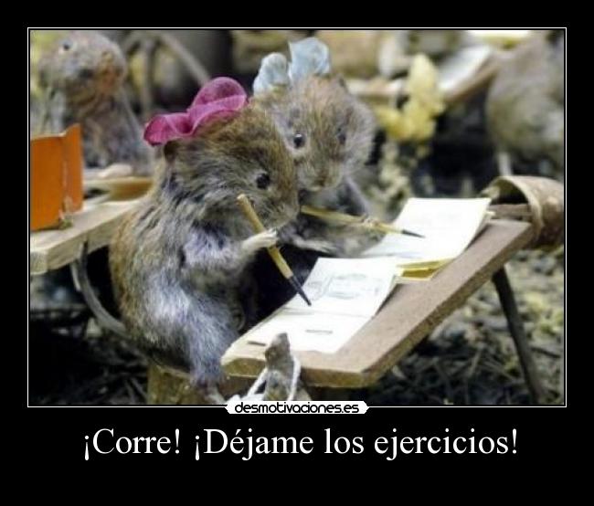 ¡Corre! ¡Déjame los ejercicios! -