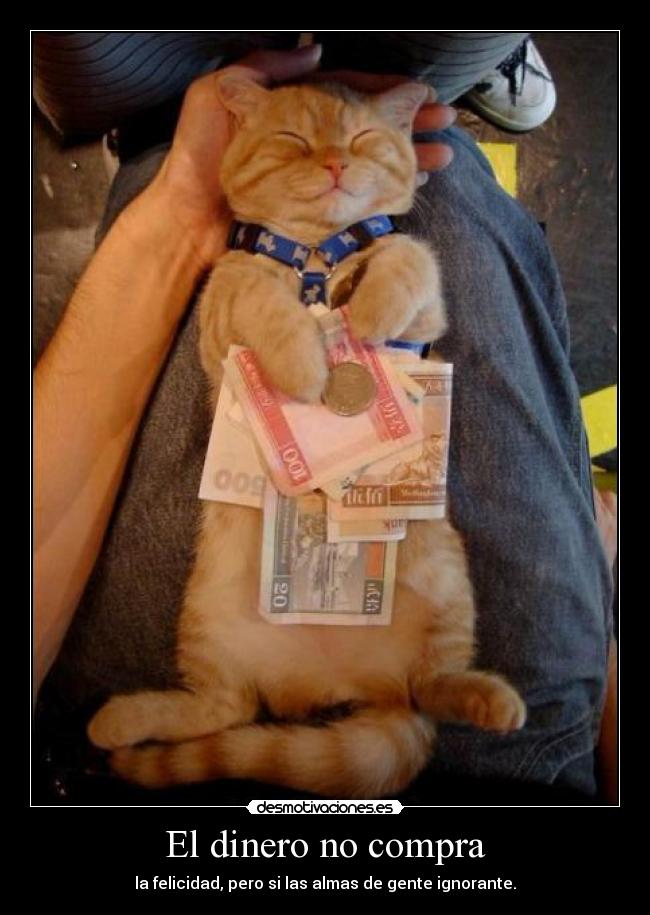 carteles dinero gato desmotivaciones