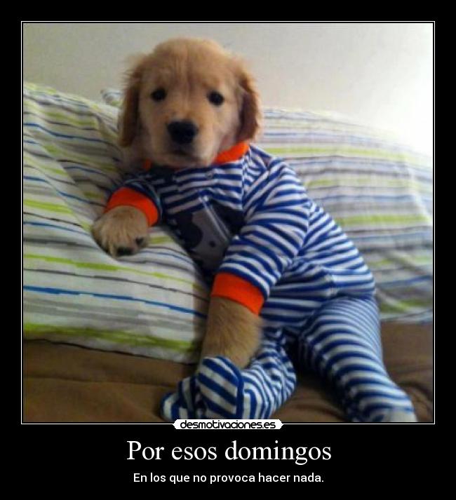 Por esos domingos -
